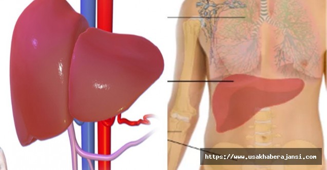 Karaciğer Büyümesinin 5 Önemli Belirtisi