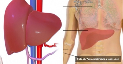 Karaciğer Büyümesinin 5 Önemli Belirtisi