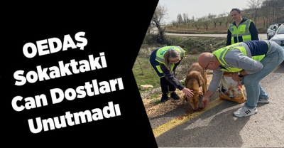 OEDAŞ Sokaktaki  Can Dostları Unutmadı